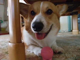 2010_08050008.jpg