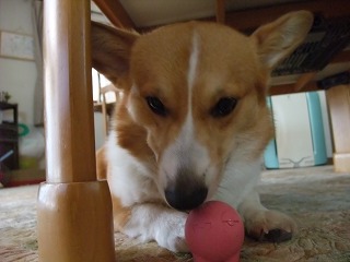 2010_08050009.jpg
