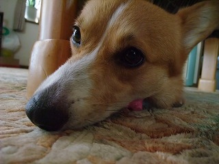 2010_08050014.jpg