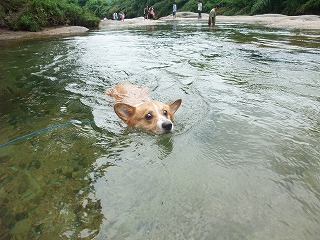 2010_0811蛇喰峡0011.jpg