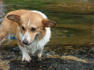 2010_0811蛇喰峡0021.jpg