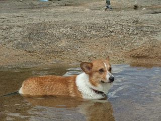 2010_0811蛇喰峡0027.jpg