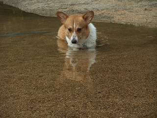 2010_0811蛇喰峡0029.jpg