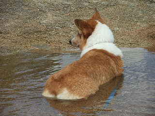 2010_0811蛇喰峡0032.jpg