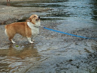 2010_0811蛇喰峡0056.jpg