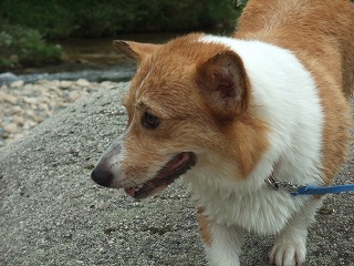 2010_0811蛇喰峡0041.jpg