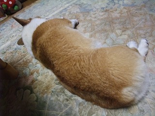 2010_0811蛇喰峡0084.jpg