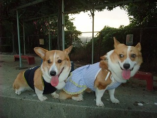 2010_09010010.jpg