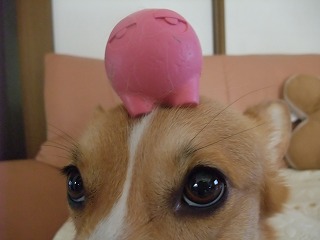 2010_09030001.jpg
