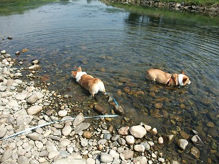 2010_0919水辺の楽校にて0005.jpg