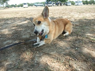 2010_0919水辺の楽校にて0019.jpg