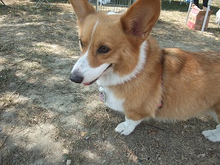 2010_0919水辺の楽校にて0023.jpg