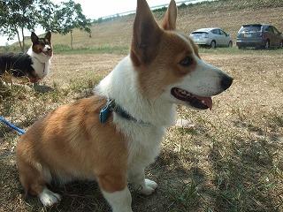 2010_0919水辺の楽校にて0018.jpg