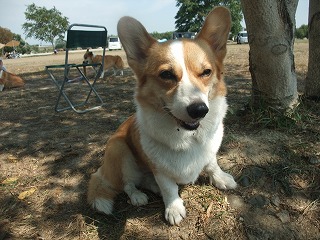 2010_0919水辺の楽校にて0016.jpg