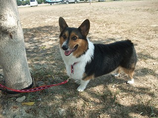 2010_0919水辺の楽校にて0012.jpg