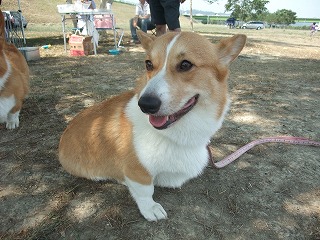 2010_0919水辺の楽校にて0020.jpg
