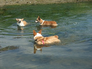 2010_0919水辺の楽校にて0008.jpg