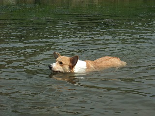 2010_0919水辺の楽校にて0030.jpg