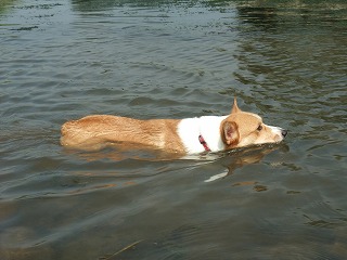 2010_0919水辺の楽校にて0031.jpg