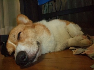 2010_0919水辺の楽校にて0034.jpg