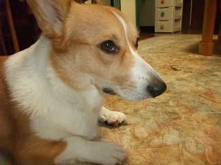2010_11010001.jpg