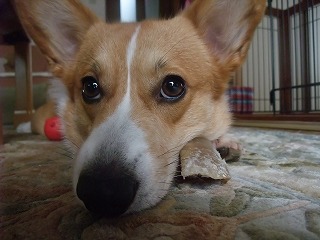 2010_11080006.jpg