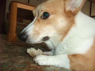 2010_11080007.jpg
