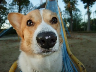 2010_1124公園にて0008.jpg