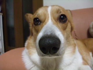 2011_01010002.jpg