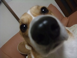 2011_01010004.jpg
