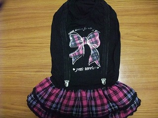 2011_01010001.jpg