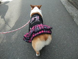 2011_0103初詣0004.jpg
