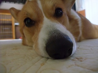 2011_01150004.jpg