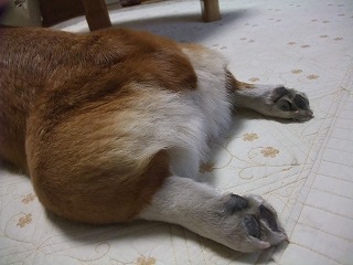 2011_01150002.jpg