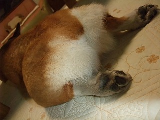 2011_01150005.jpg