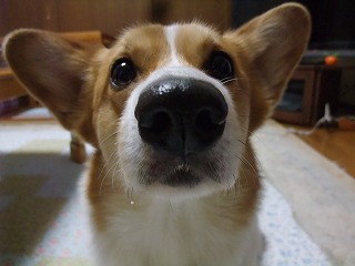 2011_0129 3歳の誕生日.jpg