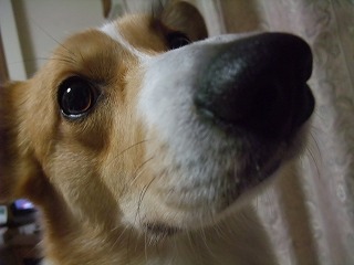 2011_02190008.jpg
