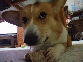 2011_02190009.jpg