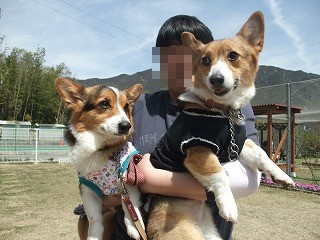 2011_0417岡山でのラン0047.jpg