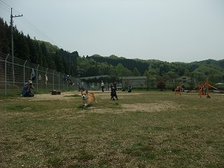 2011_0430御津のランと国分寺0033.jpg