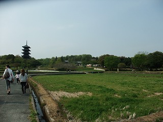 2011_0430御津のランと国分寺0064.jpg