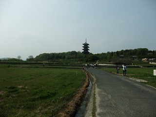 2011_0430御津のランと国分寺0065.jpg