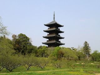 2011_0430御津のランと国分寺0235.jpg