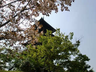 2011_0430御津のランと国分寺0212.jpg