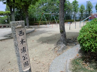 2011_0507昼間の公園0016.jpg