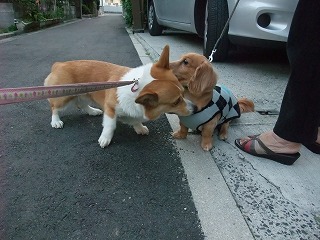 2011_0513散歩0039.jpg