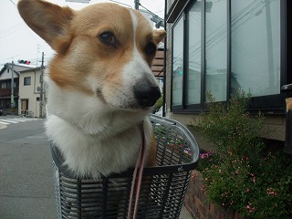 2011_0517病院にて0005.jpg