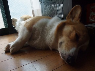 2011_0517病院にて0021.jpg