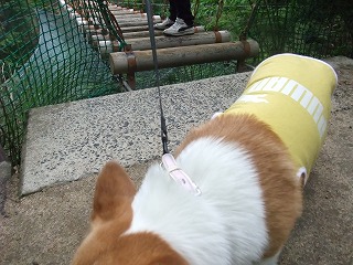 2011_0523森林公園にて0004.jpg