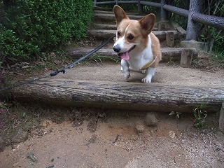 2011_0523森林公園にて0005.jpg